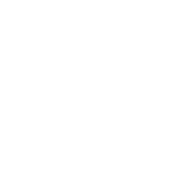 Solomon Kings Logo